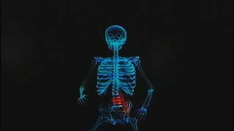 Siggraph video review 66/67 VHS