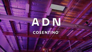 Cosentino Center San Diego Grand Opening | Cosentino