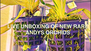 ANDYS ORCHIDS RARE ORCHID UNBOXING LIVE IN THE ORCHID JUNGLE