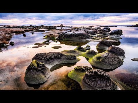 The Incredible Landscape