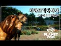 [플래닛 주] 동물의 왕! 서아프리카 사자 I 서식지 디자인 I Planet Zoo