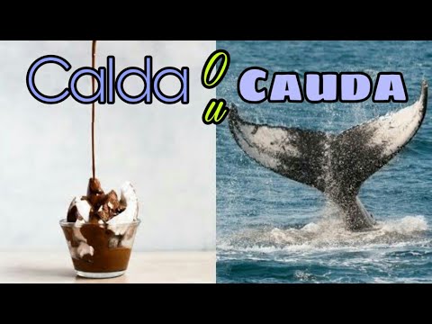Qual o correto: Cauda ou Calda? (Aula de Português) - YouTube
