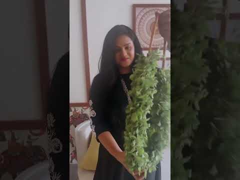 This Is How I Start My Day Ayurveda Vamana Recitation Mantrachanting Positiveenergy Healing