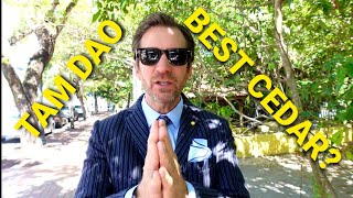 Best Cedar Fragrance? Tam Dao Diptyque My Full Review Of This 2013 Classic Edp Version