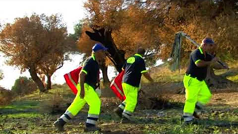 Come diventare Volontario Protezione Civile Campania?