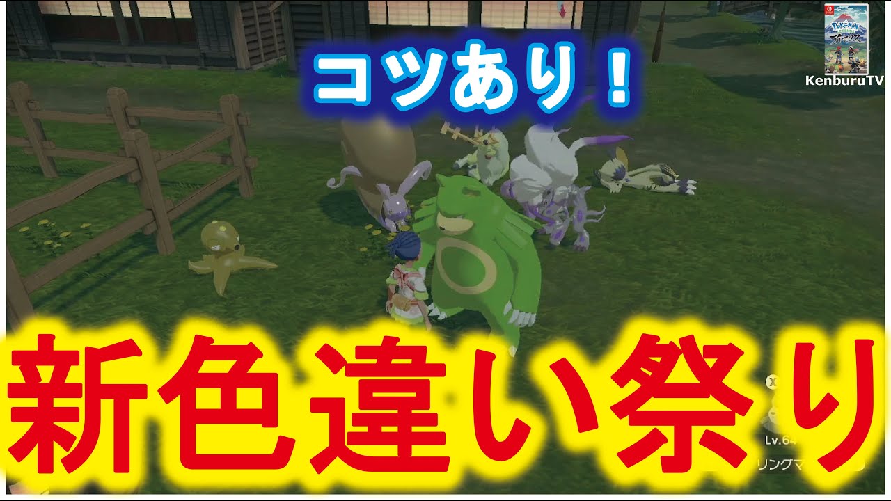 ポケモンレジェンドアルセウス 視聴者参加型 通算10匹色違いゲット 残りミカルゲ ヒスイ色違い祭り 交換も図鑑埋めしながら色違いゲットしようライブ配信 Youtube