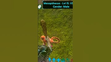 Mesopithecus Tame in Ark Mobile | #gaming