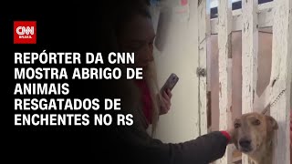 Repórter da CNN mostra abrigo de animais resgatados de enchentes no RS | CNN NOVO DIA