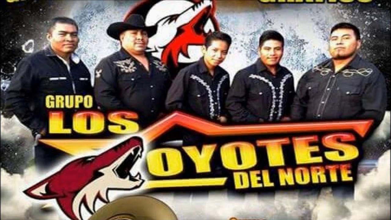 CRUZ DE MADERA - LOS COYOTES DEL NORTE CRUZ DE MADERA - LOS COYOTES DEL NORTE