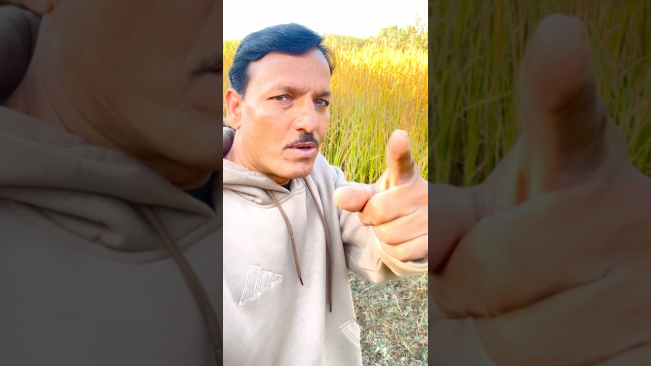 प्रयास में कोई कमी तो नही🤔 