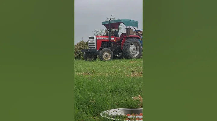Massey ferguson 244 NEW MODEL.  #punjabi ##farming #agriculture #farm #farmlife #farmer #trac
