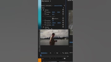 Premiere Pro Auto Scale Hack