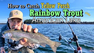 Kokanee  Rainbow Trout  Yellow Perch Fishing  American Lake