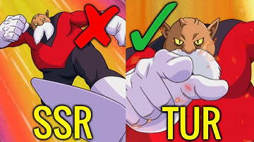 SSR and TUR Toppo Side By Side Super Attack Animation | DBZ Dokkan Battle