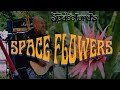 The Spacelords - Spaceflowers (Official Music Video)