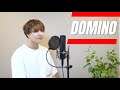 Domino / Jessie J 歌ってみた【和訳】cover by キャメ