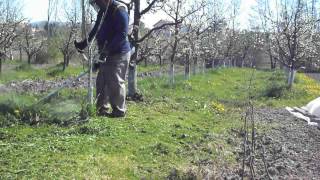 STIHL  FS 460 C EM  mowing by gricka1000 10,288 views 7 years ago 2 minutes, 21 seconds