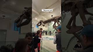 AMERICAN MUSEUM OF NATURAL HISTORY NEWYORK | Things to do in NYC| Must see NYC | Dinasaur fossils..