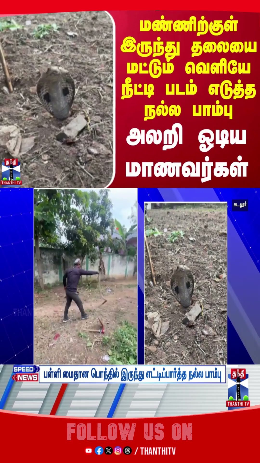 Snake || Cuddalore || Students