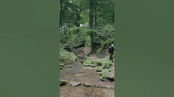 An encounter you NEVER want to have as a solo Hiking Influencer ... thumbnail