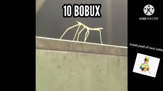 10 BOBUX