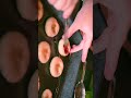 pov: you romanticize everyday life #romanticizeyourlife #aestheticvideo #aestheticvlog #jamcookies