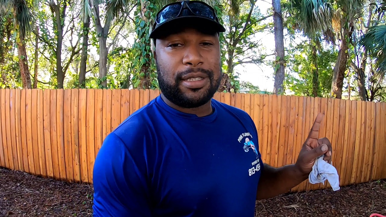 Wood fence restoration /softwash/ pressure washing