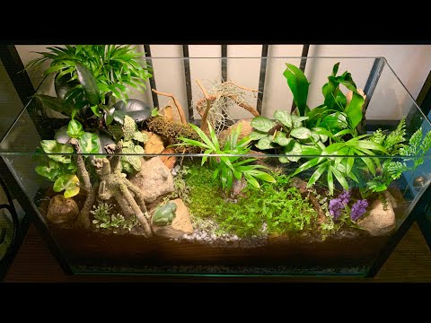 Videó: Fish Tank Terrarium – akvárium átalakítása terráriumkertté