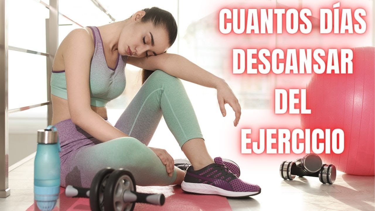 CUANTOS DIAS HAY QUE DESCANSAR DEL EJERCICIO YouTube
