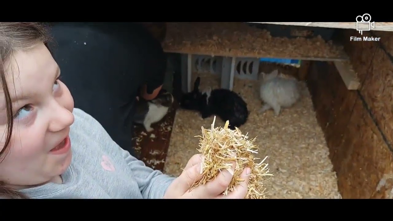 inner-city mini farm part 3