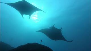 Accueil Paris Plongee