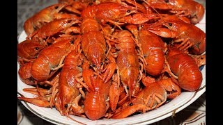 Раки Как Правильно их Приготовить. Сrayfish. How to Cook Catch N Cook. Раки Как Правильно их Приготовить. Сrayfish. How to Cook Catch N Cook.
