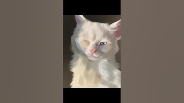 Support fellow artist! A reel from Insta #procreate #art #timelapse