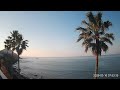 ヤッシーファミリー🌴🌴🌴🌴応援カメラ(鹿児島県枕崎市)フッキー🙋♂️👋もたまに・・・
