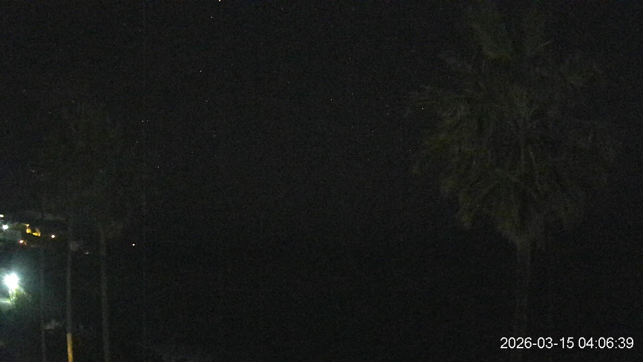 ヤッシーファミリー🌴🌴🌴🌴応援カメラ（鹿児島県枕崎市）フッキー🙋‍♂️👋もたまに・・・