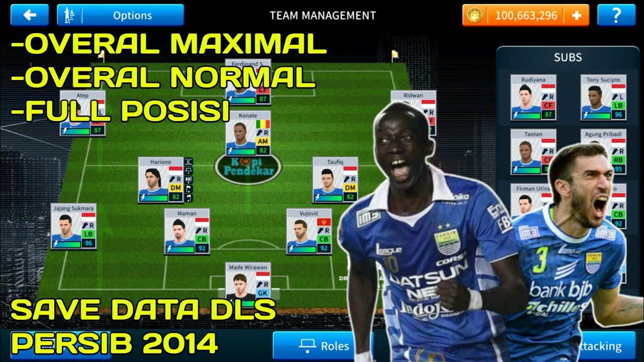 SAVE DATA DLS PERSIB 2014