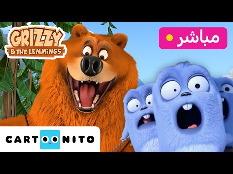 غريزي والليمينغز     أفضل الحلقات كارتونيتو