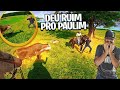 A VACA BRAVA ESCAPOU E PEGOU MEU AMIGO PAULINHO nossa !😟 PARTE #3