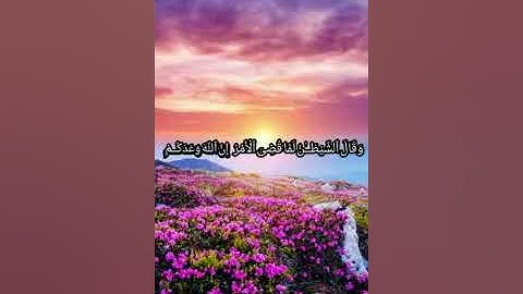 حالات واتس اب دينيه (ماتيسر من سورة إبراهيم