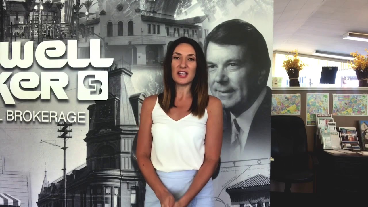 Annual Pet Adoption Event