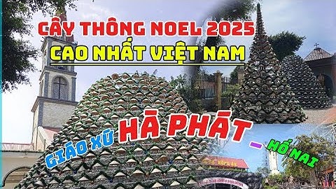 CÂY THÔNG KHỔNG LỒ BẰNG NÓN LÁ Ở VIỆT NAM|NOEL 2025|GIÁNG SINH 2025|CÂY THÔNG NOEL Ở GIÁO XỨ HÀ PHÁT
