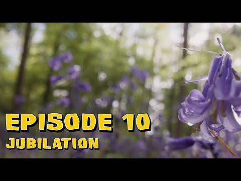 Surviving Bloomington All Stars - Episode 10: Jubilation