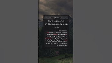 تلاوة عطره من سوره الحجرات