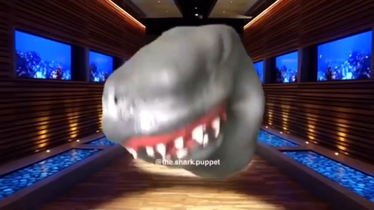 Shark Puppet Compilation 4 (Backwards Version) - YouTube