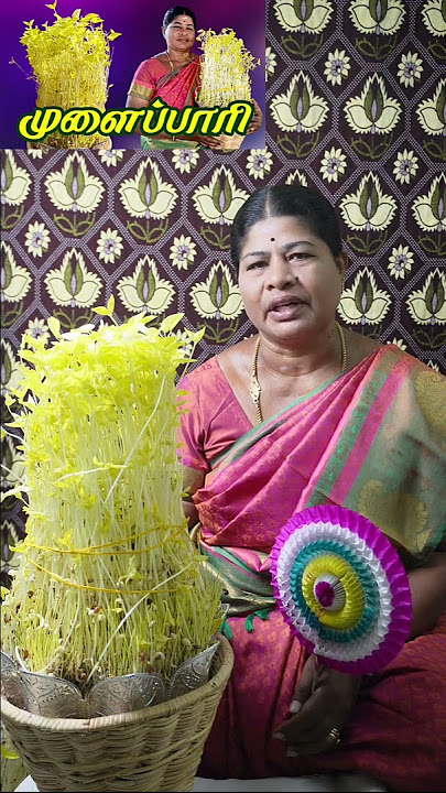 சுலபமாக முளைப்பாரி போடுவது எப்படி ? #mulaipari