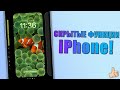 Скрытые Функции iPhone! Фишки iPhone, о которых вы не знали! Что умеет iPhone?