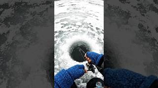 OMG! इतनी बड़ी मछली कैसे पकड़ी? 🎣#fish #animals #ai #wildlife #aifish #fishing #fishingvideo #shorts