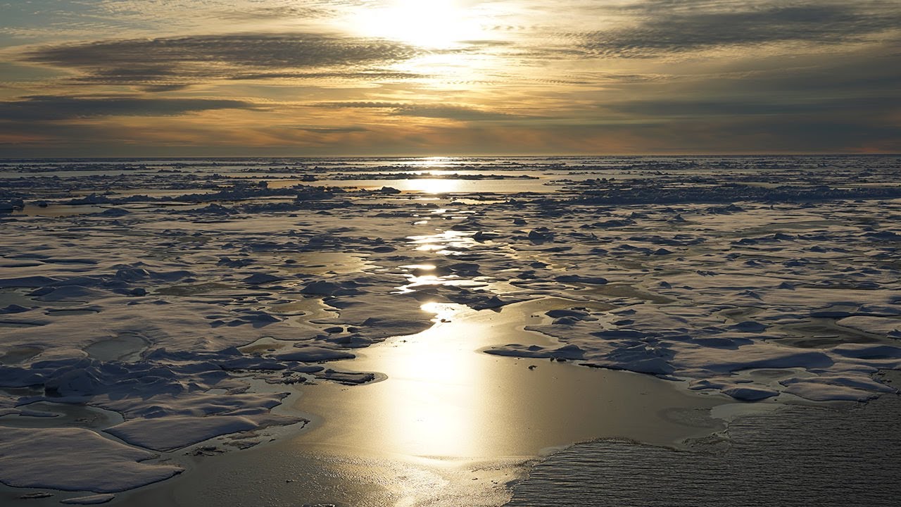 Море 2022 Море 2022