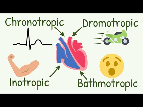 Video: Vad är inotropt tillstånd?