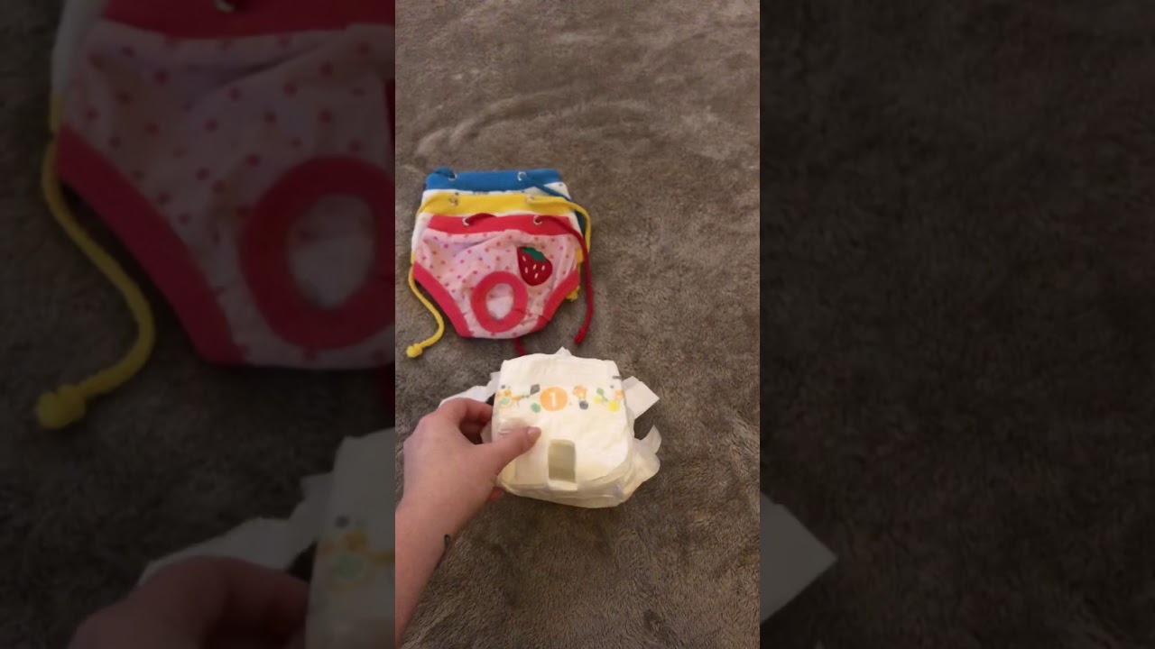 diy dog diaper with sock